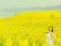 最经典的《歌词》名句欣赏