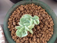 你们是我最美的 期待 