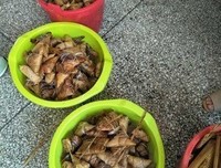 师生情深深