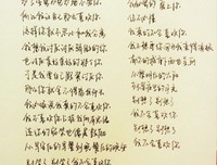 我的最爱句子