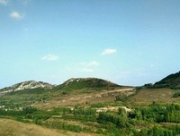 山中小苑