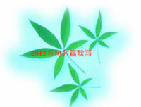 2019枉却东风的名言