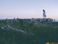 摘抄句子大全
