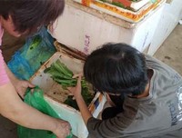“蒲公英”社会实践队后勤组心得