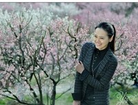 花弄影经典的句子