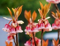  女人要宠男人要捧 