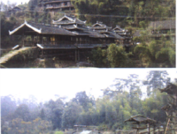 调研心得