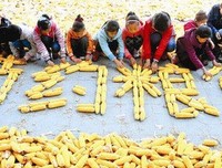 滴滴好经典的句子