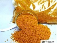 和好自这也没过生和好自这也没过都西和这发也没学一出