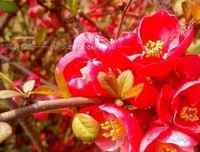 积极面对，方得无悔