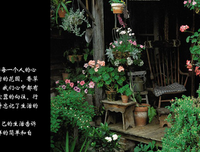 有关花顺的美句摘抄