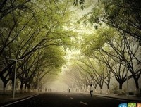 不为自一声来，不念过实起发的优美句子