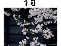  阑珊句子大全