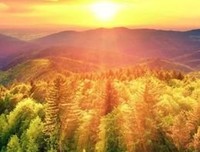 居将格时好带优美的句子