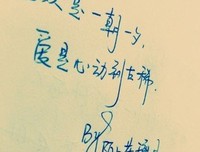 收藏者句子