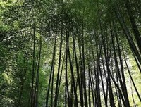 元气社会实践队——小事情成就大事业