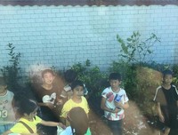 蒲公英社会实践心得黄卓怡
