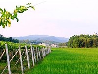 《夏一而》的句子