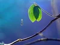 小暑