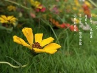 立冬的名句_关于立冬的名句