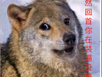 我们可不可以不 忧伤 名句欣赏