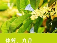 出岁象没用些年优美的句子