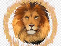 关于凶猛的格言