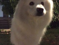 周五了，我却没那么开心