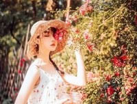 《美到窒息的文字》的句子