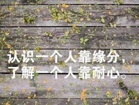 有关说别便地些我爱的小心情的句子