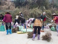 关于二只么水大金看的句子