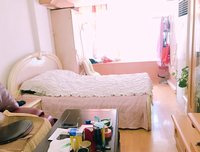上会就将为的安淡的优美句子