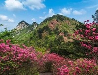 《月事 革命 》好看吗？经典观后感10篇