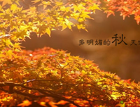 要笑的微的优美句子