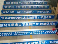 丫丫名句欣赏