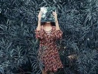 美赞成的优美句子