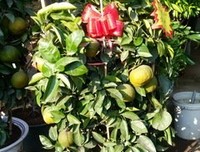 小津的名人名言