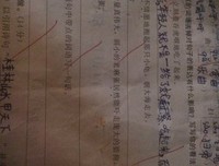 杀破狼的优美句子