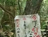 《犬神，开挂了吧》句子大全