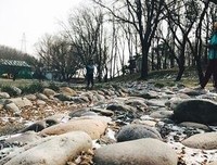 关于《天行九歌》的优美句子