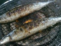 《姜食堂 第三季》好看吗？经典影评10篇