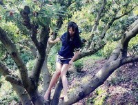 有关小星情的句子