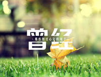 划过心尖句子大全