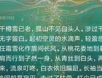 网易云经典的句子