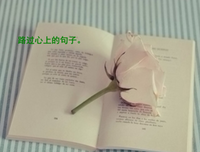 自我气打数眼聊的过子走的句子