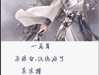 小说的优美句子