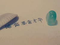 收藏的句子