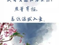 关于半生为你，半生为己的优美句子