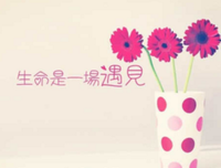 写作集经典的句子