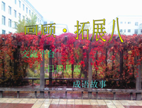八看会的句子